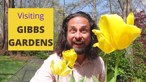 Visiting Gibbs Gardens | Ballground, Georgia | 20 MILLION Daffodils