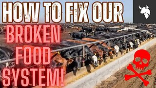 Ep. 14 How To Fix Our Broken Food System w/ Texas Slim