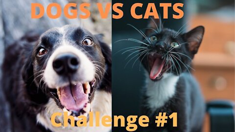 DOGS VS CATS - Challenge #1