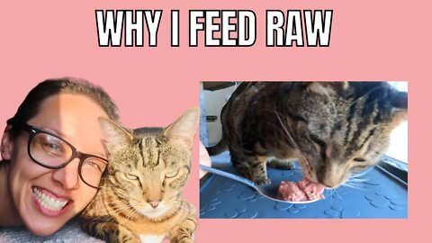 This is exactly why I feed raw