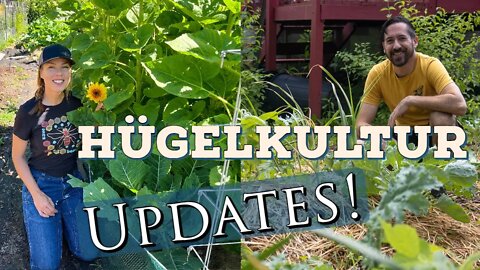 Hugelkultur Update- With Greg from Some Room to Grow