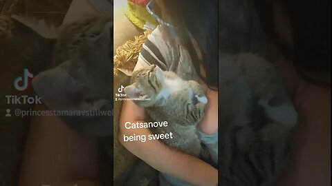 Catsanova being sweet