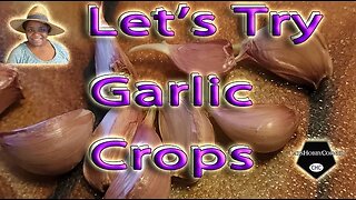 Let's Try #garlic #crops - #catshobbycorner
