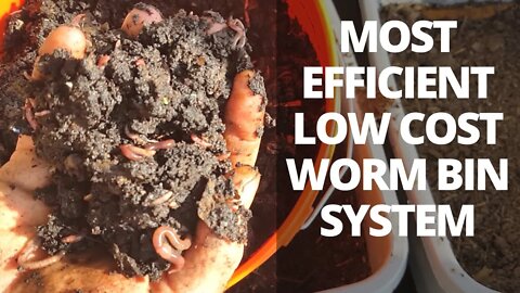 EASIEST Worm Casting System for Vermicompost 3 Bin