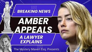 Amber Heard Files an Appeal A Lawyer Explains