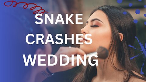 SNAKE CRASHES WEDDING IN ARIZONA #wedding #weddingvideo #weddingplanner #snake #serpent #serpiente