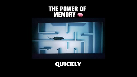 THE POWER OF MEMORY 🧠