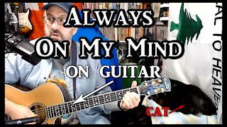 Always On My Mind on Guitar (with my cat)