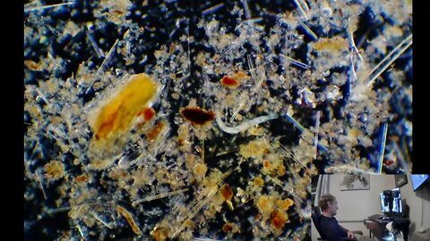 Soil under the Microscope! Aquatic Microorganisms in a bottle?