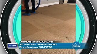Powered Water Carpet Cleaning // Zerorez