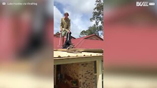 Australia: catturato serpente gigante sul tetto
