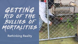 Rethinking Reality: Getting Rid Of The Bullies Of Mortality | Dr. Robert Cassar