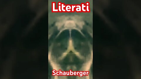 Schauberger Speaks