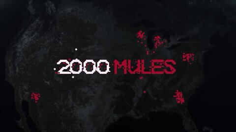 2000 Mules - Trailer and Excerpts