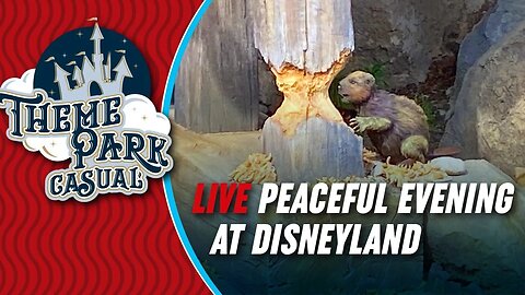 LIVE at Disneyland | Peaceful Evening at Disneyland