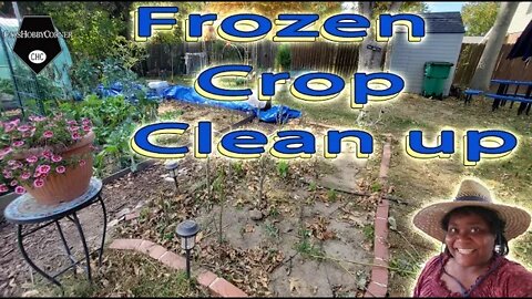 Frozen Crop Clean Up