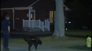 Human skull found in backyard of Trenton home