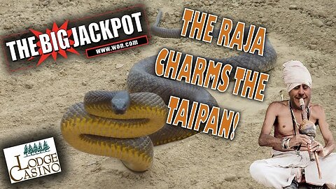 🎰 The Raja Scores A Large Win On Taipan After A Bonus Round With 25 Free Games! 🐍 | Raja Slots