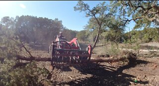 Removing cedar trees and box blade work with Mahindra 1635L