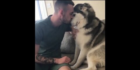 Love, embrace and emotional kisses between the dog and his beloved friend