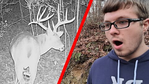 MONSTER BUCK ON TRAIL CAMERA!!! | Early Season Deer Hunting!!!