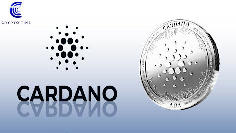 Number of Cardano’s wallets grow over 1,200%