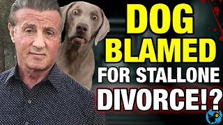 INSANE! Sylvester Stallone Divorce After 25 Years BLAMED ON THE DOG!?