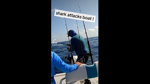 Shark Attacks Boat