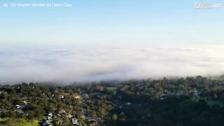 Drone capta chegada de neblina na Austrália