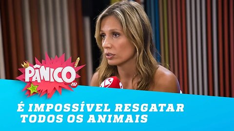 Luisa Mell: 'É impossível eu resgatar todos os animais do mundo'