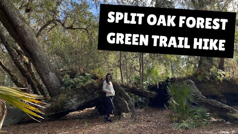 SPLIT OAK FOREST GREEN TRAIL HIKE, ORLANDO FLORIDA