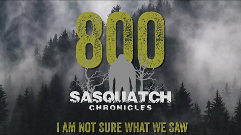 SC EP:800 I Am Not Sure What We Saw