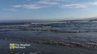 Windy, sunny day at the beach in Nova Scotia