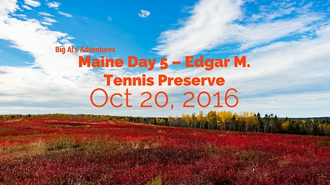 Maine Day 5 - Edgar M. Tennis Preserve