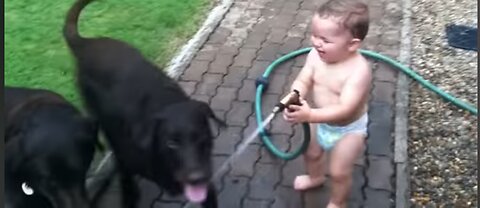 Babies laughing at pets, babies playing with pets