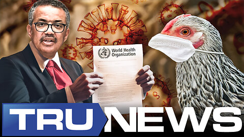 WHO Global Pandemic Treaty Published as Bird Flu Spreads