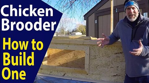 Chicken Brooder with Perch (How to Make One) for Backyard Chickens