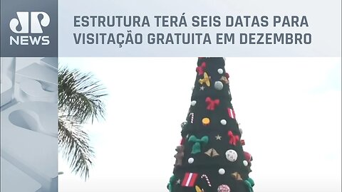 Árvore de Natal com 52 m de altura é inaugurada no Parque Villa-Lobos