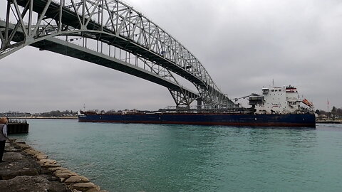 Algoma Conveyor Freighter Ship In St Clair River