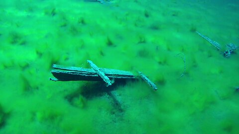 Ancient Canoe remains