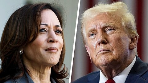 Harris points out Trump 'tanked' immigration bill to have something to campaign on | VYPER