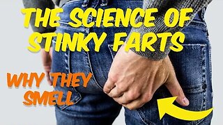 The Science of Stinky Farts - Why They Smell and How to Deal with Them