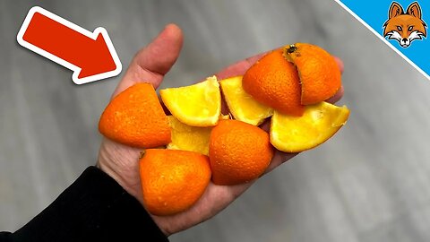 THIS is why you should NEVER throw Tangerine Peels in the Trash 💥 (GENIUS) 🤯
