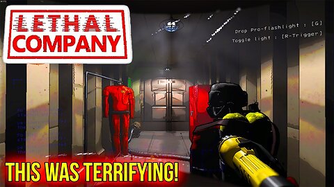 I’M NEVER PLAYING THIS AGAIN…. ( Lethal Company )
