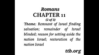 Romans Chapter 11 (Bible Study) (2 of 3)