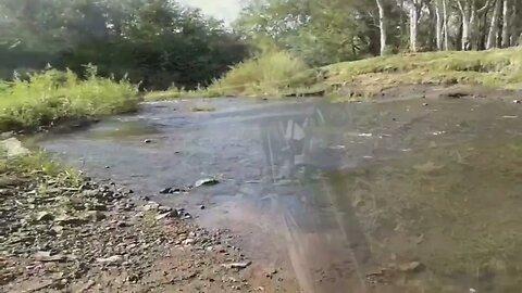 Paso del Bote y Laguna de las Lavanderas - Tacuarembó (21/04/2018)