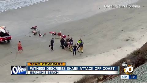 Rescuer recounts shark attack