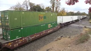 A Long piggyback and container train