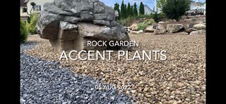 Accent Plants in the Rock Garden