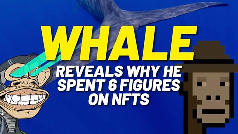 Crypto Whale Reveals Why He Spent $500,000 on NFTs